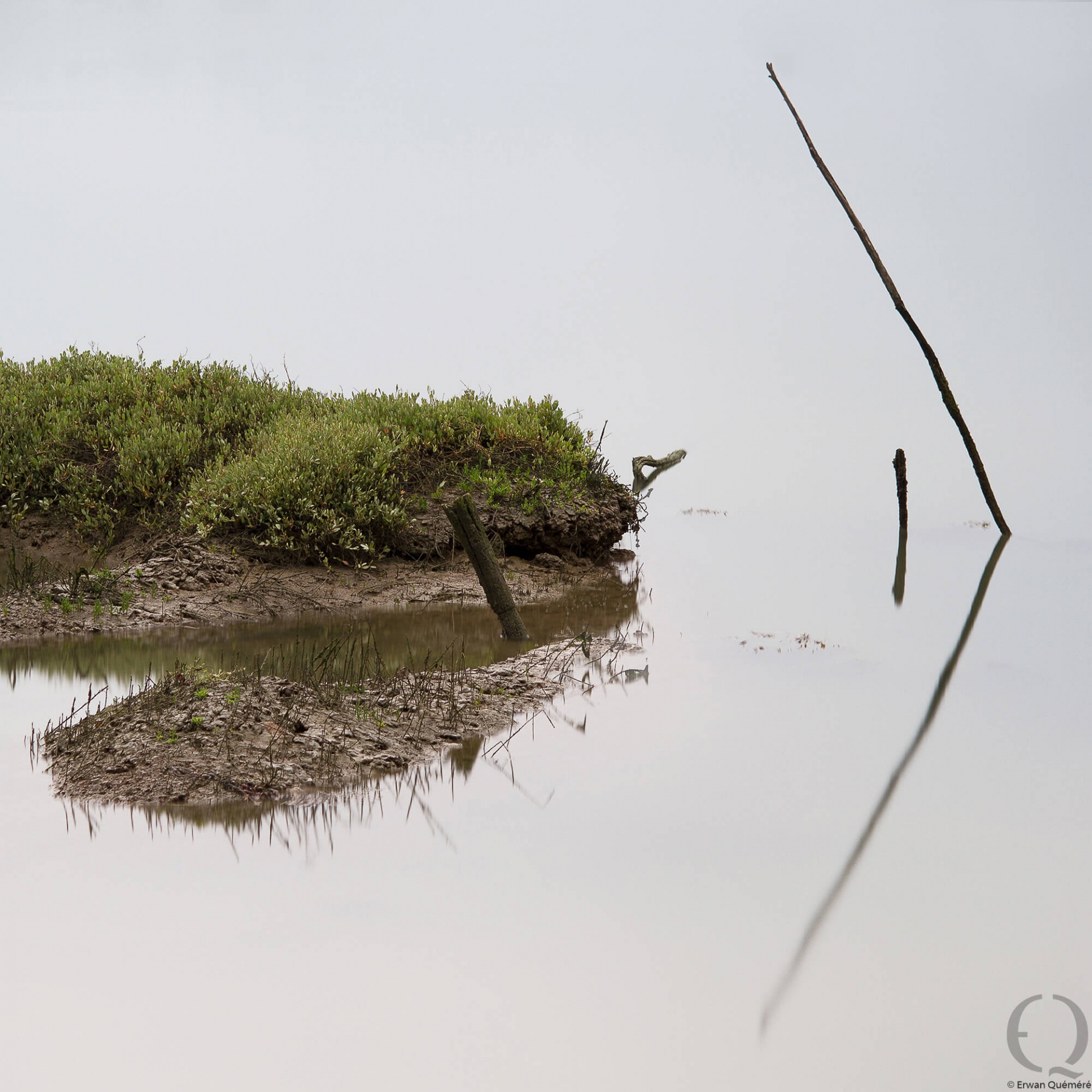 Miroir de la réflexion